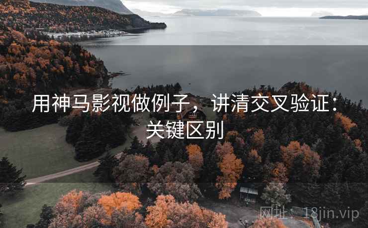 用神马影视做例子，讲清交叉验证：关键区别