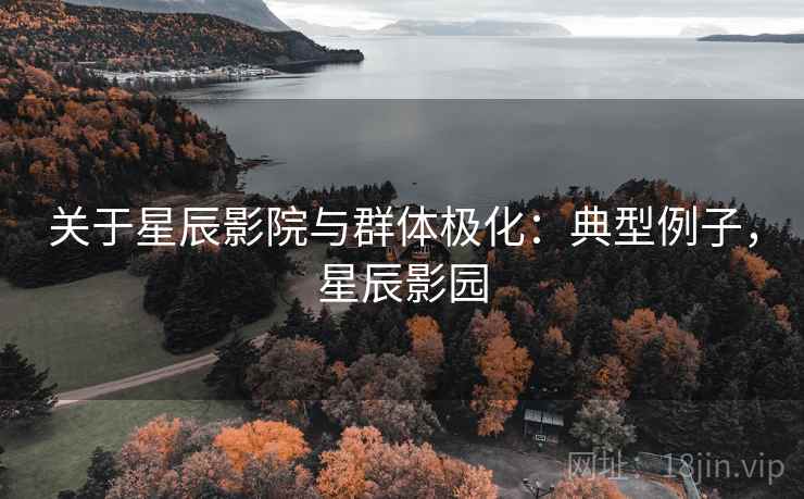 关于星辰影院与群体极化：典型例子，星辰影园