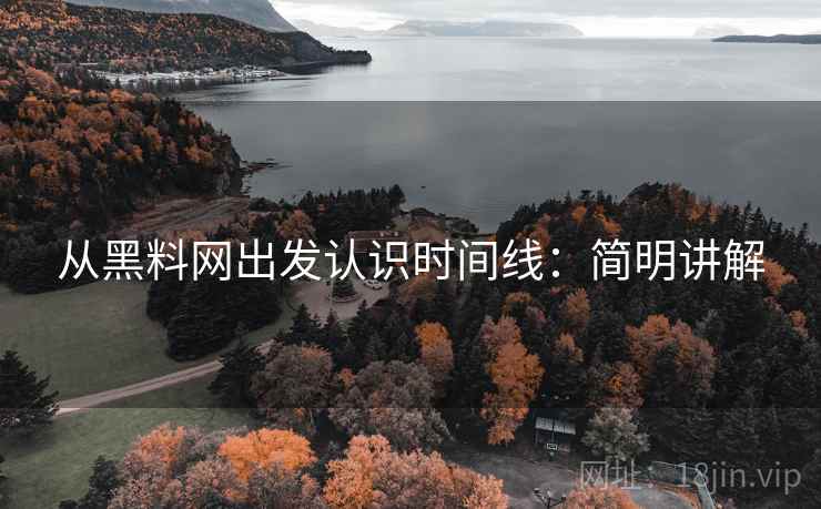 从黑料网出发认识时间线：简明讲解