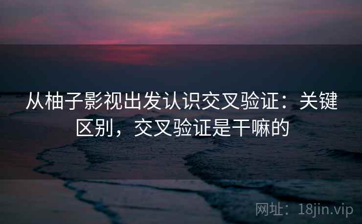 从柚子影视出发认识交叉验证：关键区别，交叉验证是干嘛的